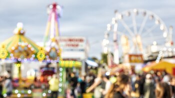 Las claves para disfrutar al