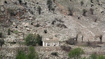 Árboles quemados y estructuras destruidas