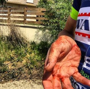 Ahora, Offredo teme por sus