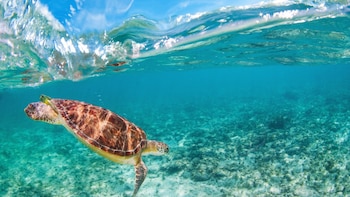 Estas islas que aún pertenecen al Commonwealth Británico (istock)