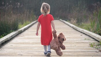 La Ley Brisa busca amparar