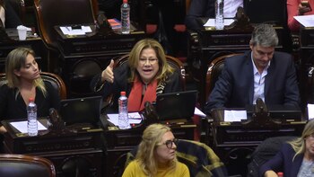 La diputada Graciela Camaño lanzó duras críticas contra la decisión del gobierno de Macri (DyN)