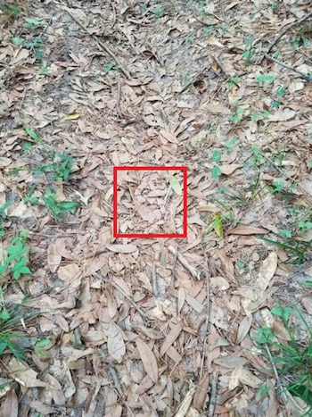 Imagen 5AX3Q4OCEBG3DEZ3475QWKV4KM