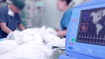 La calidad de los profesionales