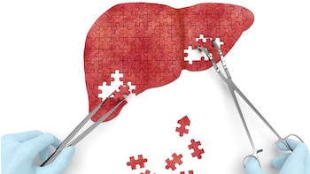 El científico descubrió una nueva
