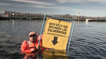 Activistas de Greenpeace llegaron en