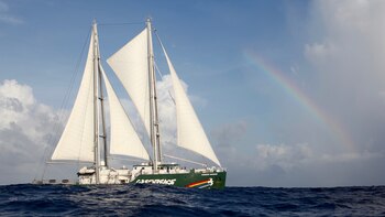 EL Rainbow Warrior, el velero
