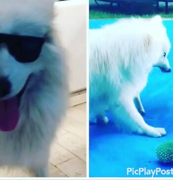 “Feliz día a los seres