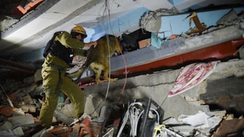 Los rescatistas pasaron días buscando