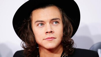 El cantante Harry Styles tiene