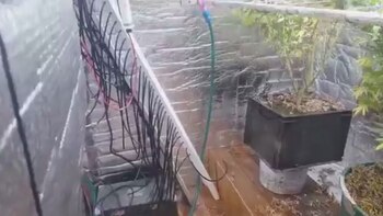 Dos detenidos por el operativo