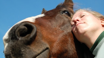 Las terapias asistidas con caballos