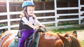 El tratamiento está indicado para