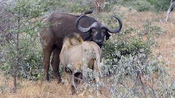 Imagen JKJHMFKKLVDHTOSNH5CTZJ6C5Q