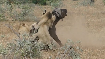 Imagen IXRI7K3RCZBKZN4WCOBTDP5AZY