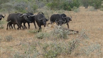 Imagen FDL2V5ZYSRGT7NA53ZAVSTWUOI