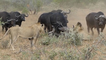 Imagen FD5HHX5OYVBJPK2H32KQK7ORSM