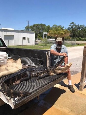 El cocodrilo de dos metros
