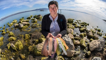 El certamen busca potenciar y