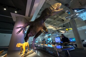 Una visitante del Museo de