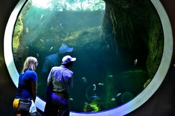 Su innovador planetario con cúpula