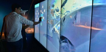 Visitantes del Museo de Ciencias