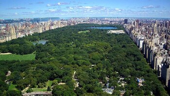 El Central Park es otro de los lugares que deben visitarse en forma obligada en Nueva York