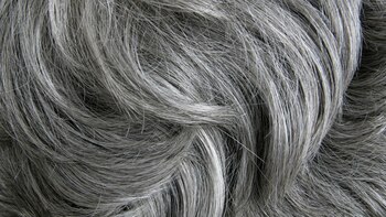 Al parecer, el origen de