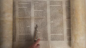 El texto apunta a suministros