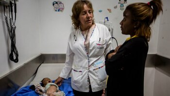 En 2016 murieron un total