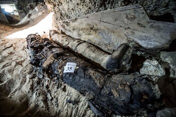 Ninguna de las momias eran de origen real. Junto con ellas, también encontraron una hoja de oro y dos papiros en Demotic, una antigua escritura egipicia (AFP)