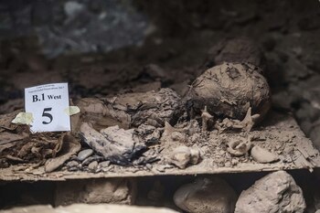 El hallazgo sería la primera necrópolis encontrada en el centro de Egipto con tantas momias (AFP)