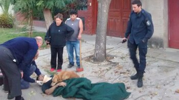 (Gentileza La Nueva)