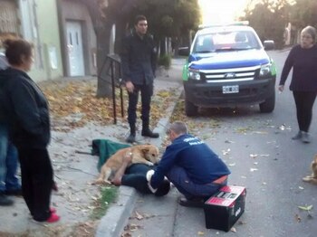 (Gentileza La Nueva)