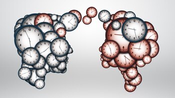 La orientación temporal de cada