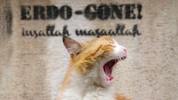 La imagen que provocó el