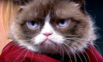 Su cuenta bancaria actualmente llega