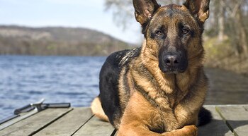 Su fortuna es de alrededor