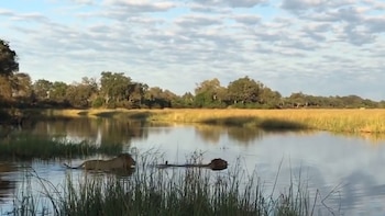 Sabían que había un peligro