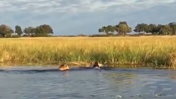 El mayor de los hermanos,