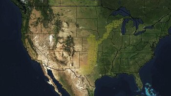 Un mapa del clima en