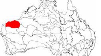 El sitio arqueológico queda al