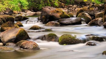La fotografía lo ayuda a