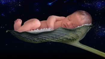 La reproducción en el espacio