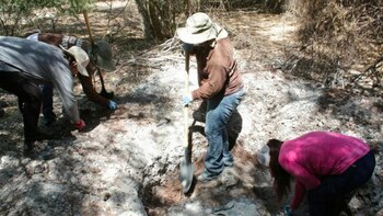 Familiares decidieron buscar a los