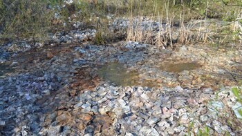 Los billetes estaban a la