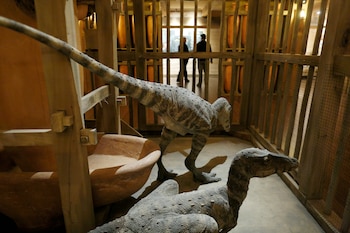 Réplica de dinosaurios dentro de