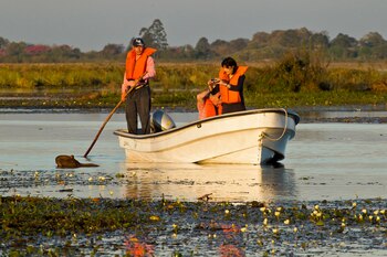 Una de sus lagunas más importantes es la Iberá, con 5500 hectáreas. Al navegar por ella y sus canales, se ve la curiosa formación de embalsados y de plantas acuáticas, además de los animales en su hábitat natural (las primeras horas de la mañana y del atardecer despliegan más actividad, así que son los mejores momentos para observarlos)