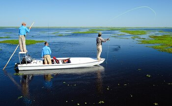 Ubicado al noreste de Argentina, es un refugio de la naturaleza enclavado en el corazón de la provincia de Corrientes, a donde se puede llegar desde diferentes puntos de acceso, como Mercedes, Colonia C. Pellegrini, Ituzaingó, Concepción y Loreto, entre otros