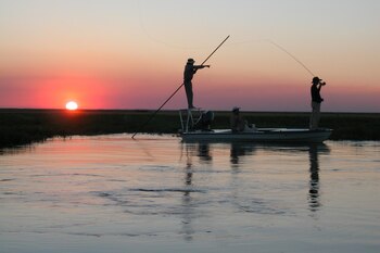 Esteros del Iberá: la Argentina